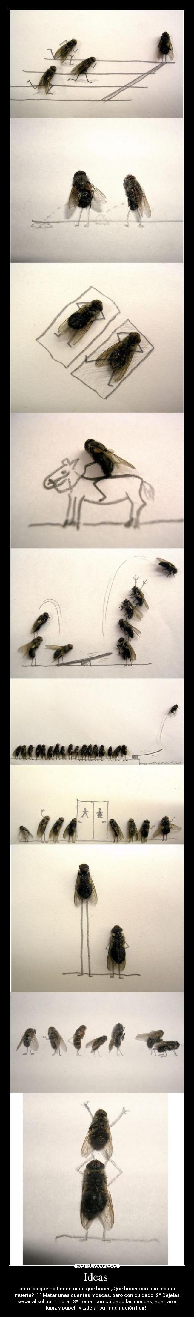 Ideas - para los que no tienen nada que hacer ¿Qué hacer con una mosca
muerta? 1º Matar unas cuantas moscas, pero con cuidado. 2º Dejelas
secar al sol por 1 hora . 3º Tomar con cuidado las moscas, agarraros
lapiz y papel...y...¡dejar su imaginación fluir!