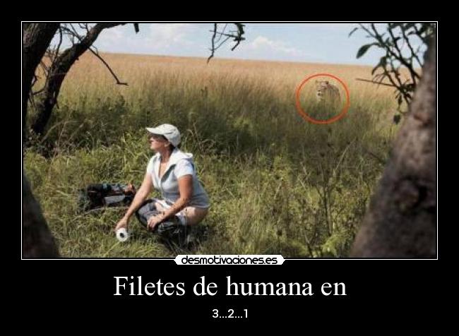 Filetes de humana en -