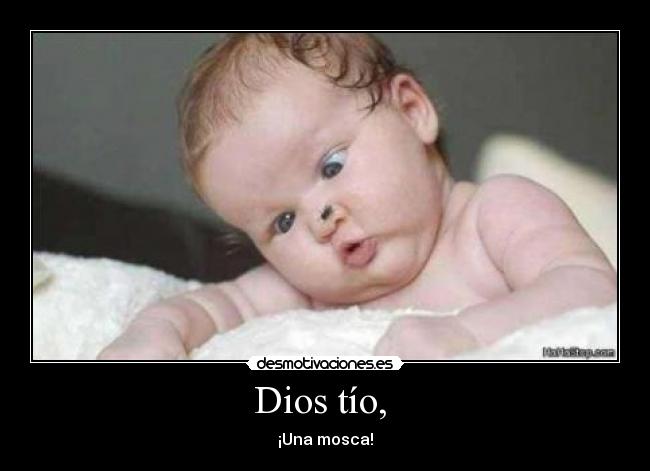 Dios tío,  - ¡Una mosca!