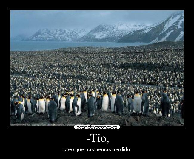 -Tío, - creo que nos hemos perdido.