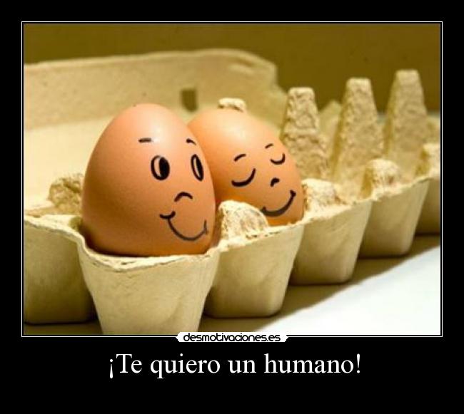 carteles gatos desmotivaciones