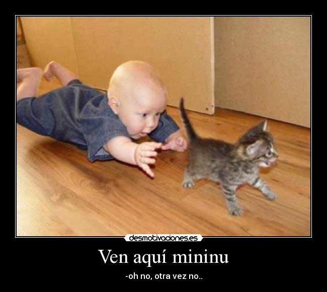 Ven aquí mininu - -oh no, otra vez no..