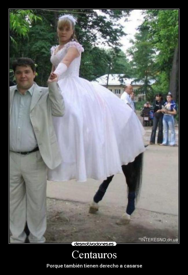 Centauros - Porque también tienen derecho a casarse