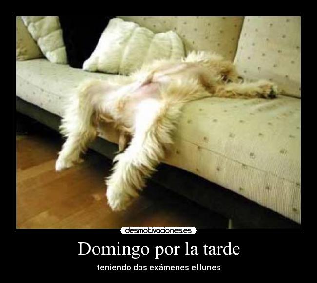 Domingo por la tarde -