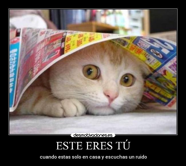ESTE ERES TÚ - cuando estas solo en casa y escuchas un ruido