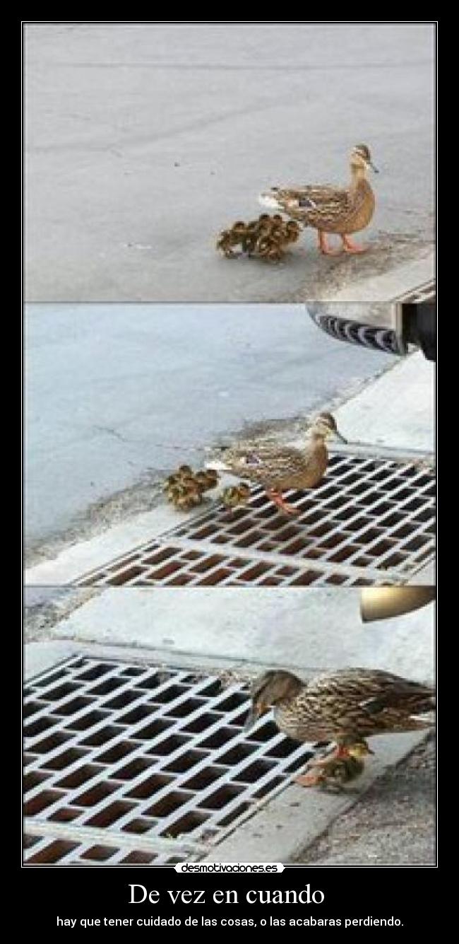 De vez en cuando - hay que tener cuidado de las cosas, o las acabaras perdiendo.