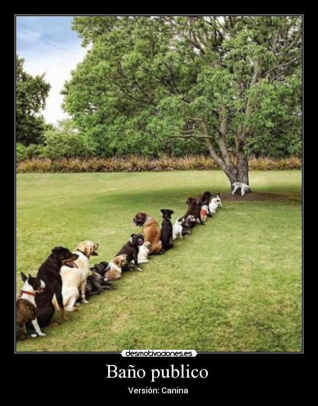 Baño publico  - 