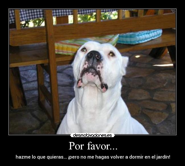 Por favor... -