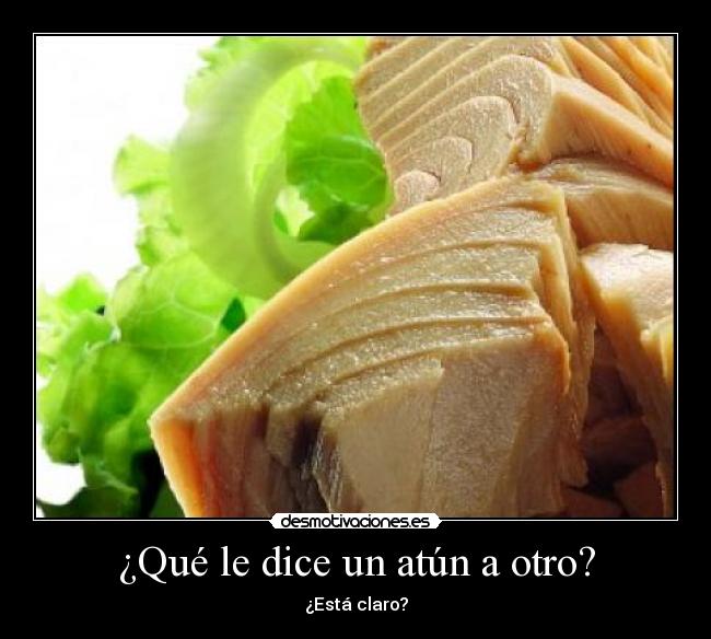¿Qué le dice un atún a otro? -