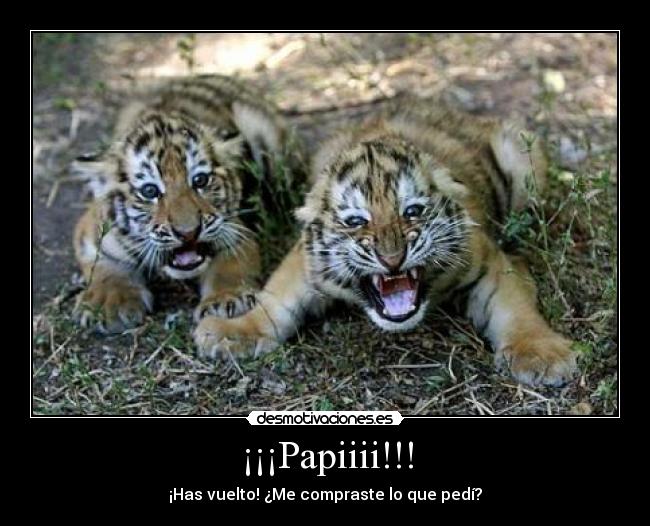 ¡¡¡Papiiii!!! - 