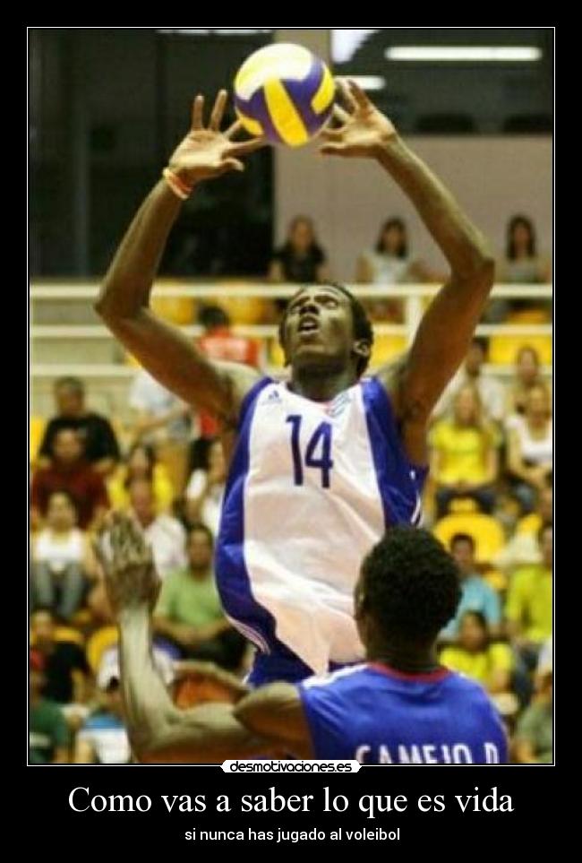 carteles vida manu_95 desmotivaciones