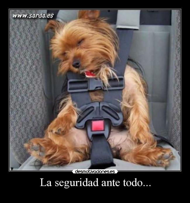 carteles seguridad ante todo desmotivaciones