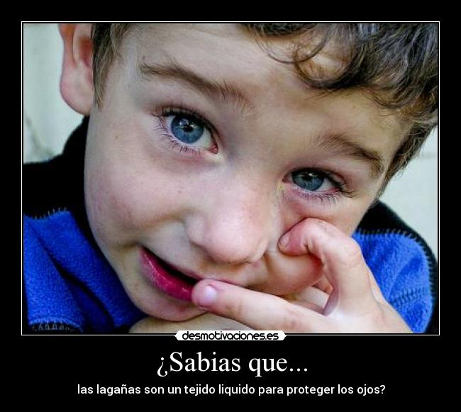 ¿Sabias que... - las lagañas son un tejido liquido para proteger los ojos?