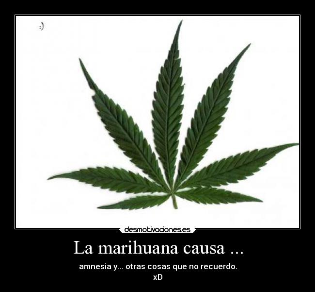 La marihuana causa ... - amnesia y... otras cosas que no recuerdo.
xD