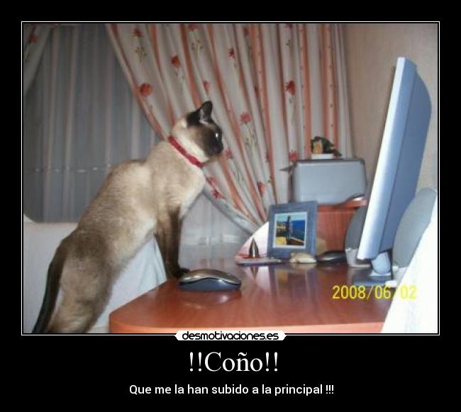 !!Coño!! - Que me la han subido a la principal !!!