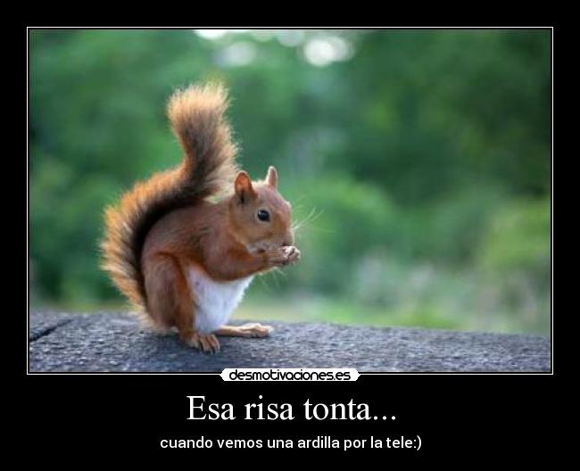 Esa risa tonta... - cuando vemos una ardilla por la tele:)