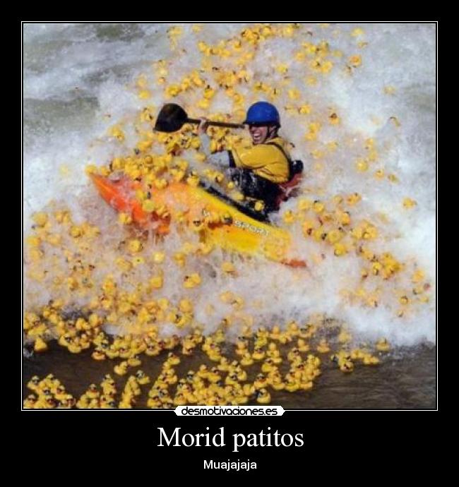 carteles morid patitos desmotivaciones