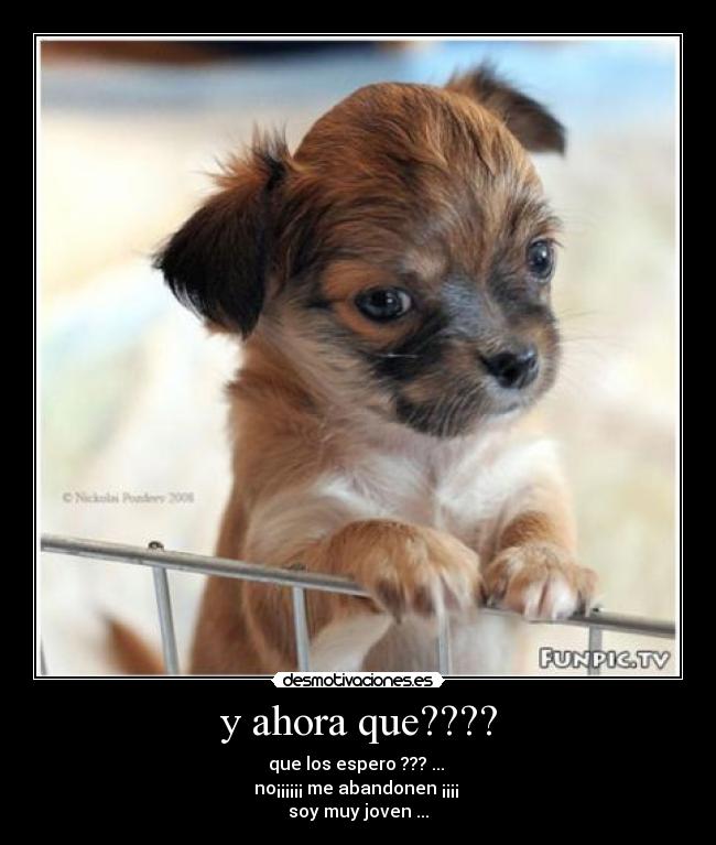 y ahora que???? - 