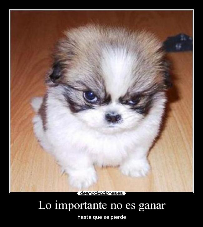 Lo importante no es ganar - hasta que se pierde