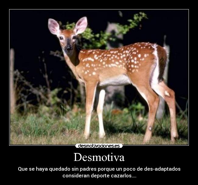 Desmotiva - Que se haya quedado sin padres porque un poco de des-adaptados
consideran deporte cazarlos....