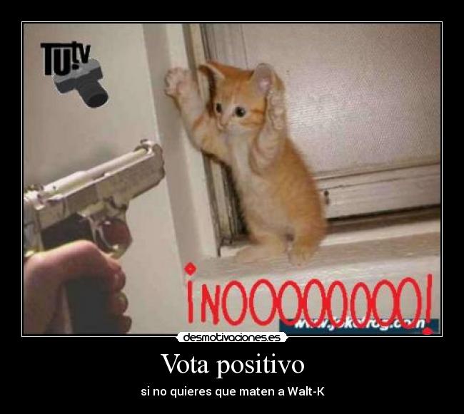 Vota positivo -