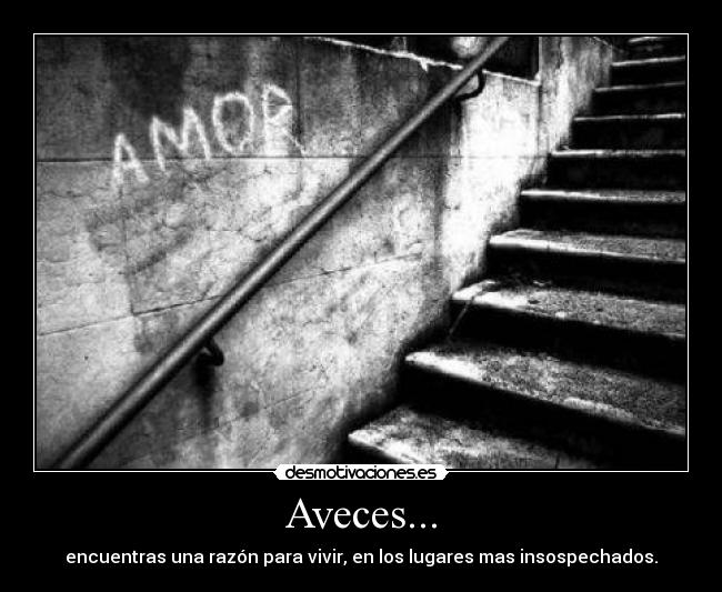 Aveces... - encuentras una razón para vivir, en los lugares mas insospechados.