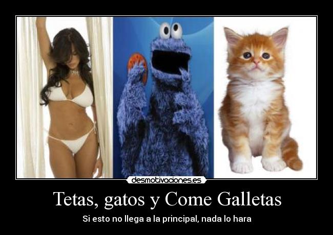 Tetas, gatos y Come Galletas -