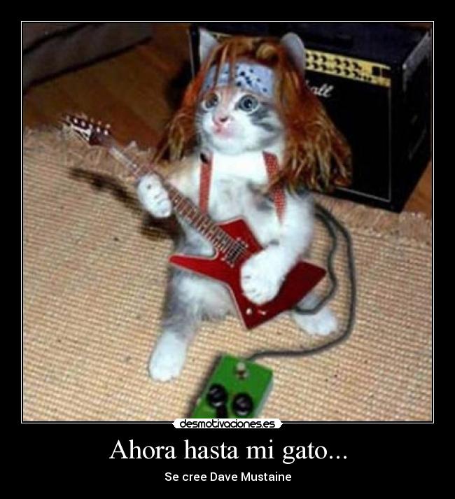 Ahora hasta mi gato... - Se cree Dave Mustaine