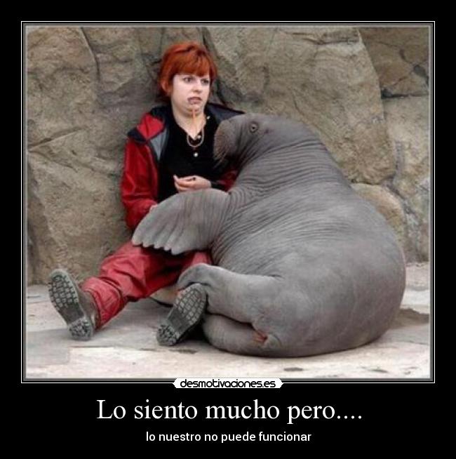 Lo siento mucho pero.... - lo nuestro no puede funcionar