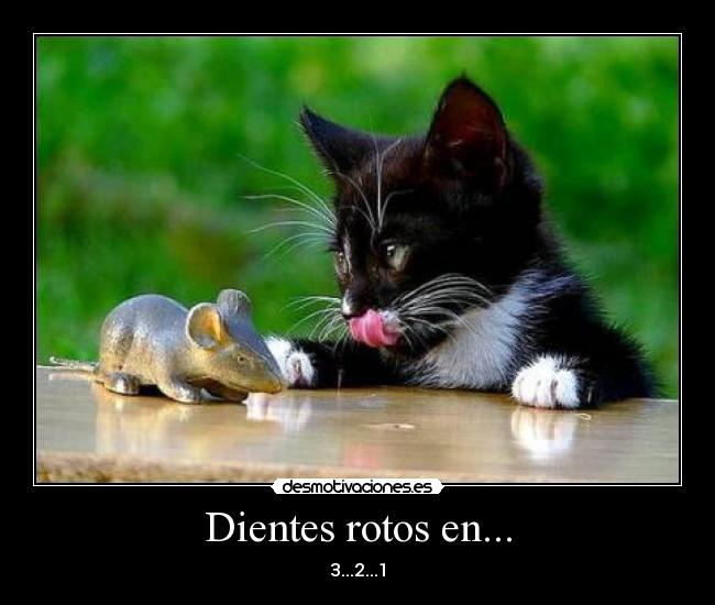Dientes rotos en... - 3...2...1