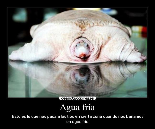 Agua fría - Esto es lo que nos pasa a los tíos en cierta zona cuando nos bañamos en agua fría.