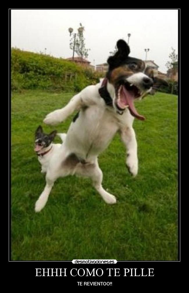 EHHH COMO TE PILLE - TE REVIENTOO!!