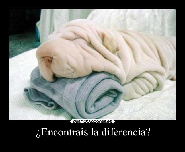 ¿Encontrais la diferencia? -