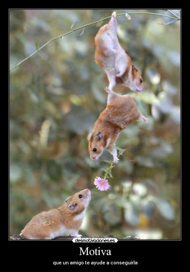 Motiva - que un amigo te ayude a conseguirla