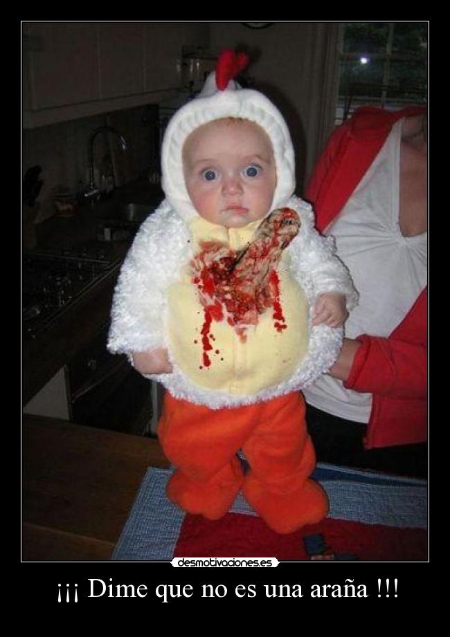 ¡¡¡ Dime que no es una araña !!! -
