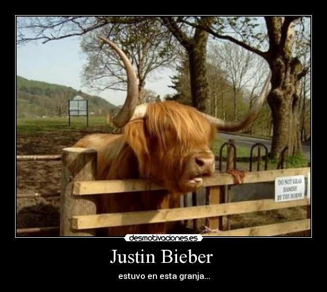 carteles estuvo aqui desmotivaciones