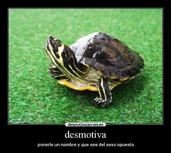 desmotiva - 