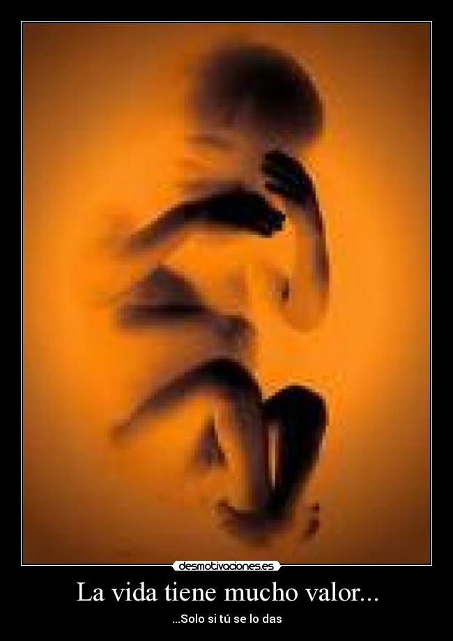 La vida tiene mucho valor... - 