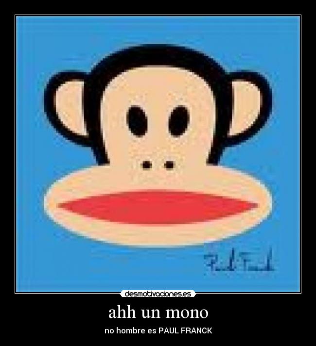 ahh un mono - 