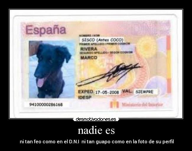 nadie es - 