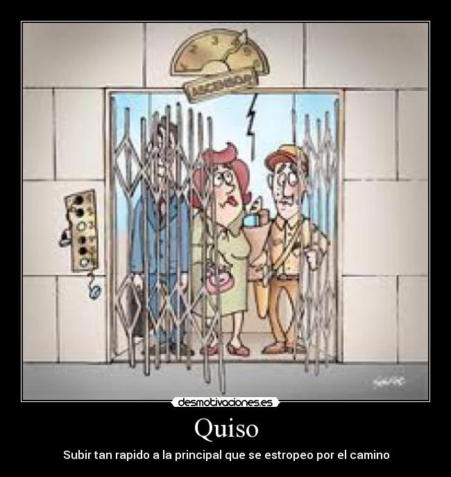 Quiso -