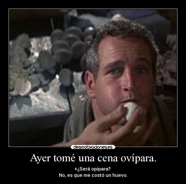 carteles huevo desmotivaciones