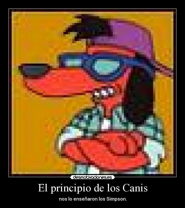 carteles principio desmotivaciones