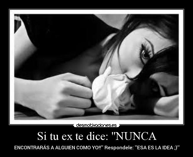 carteles exs desmotivaciones