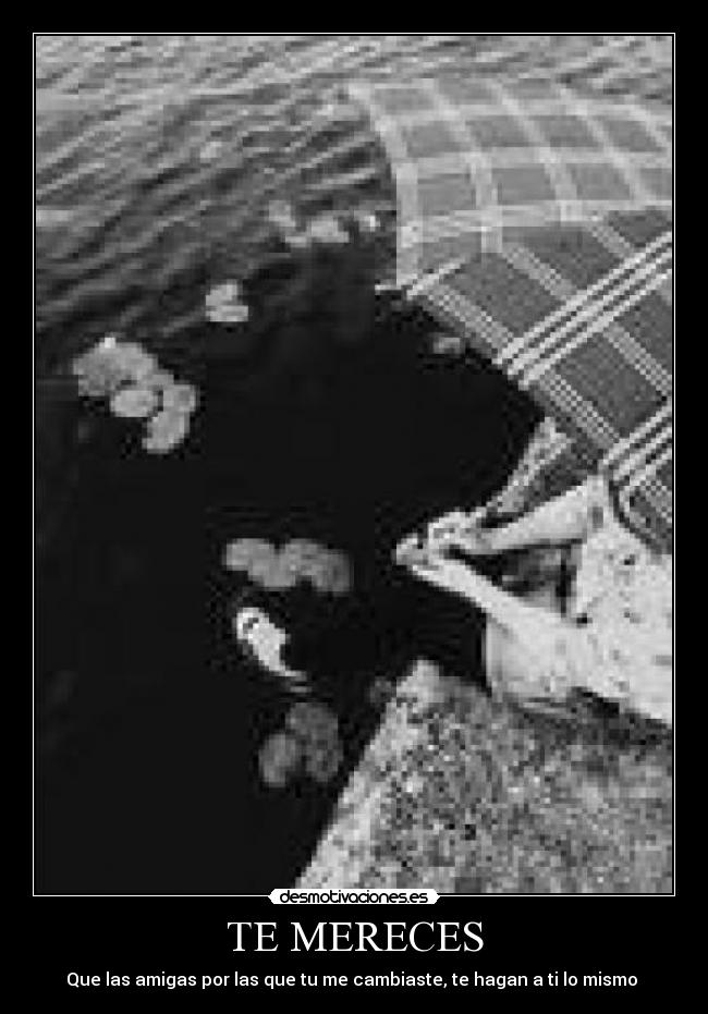 carteles mereces desmotivaciones