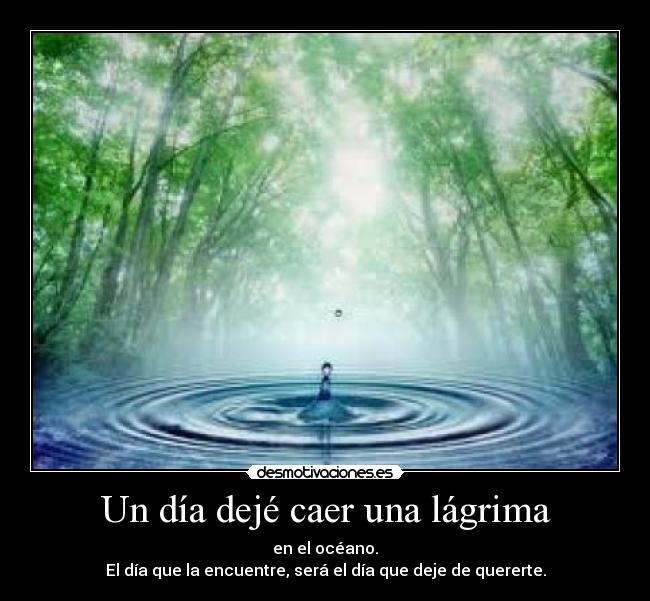 Un día dejé caer una lágrima -