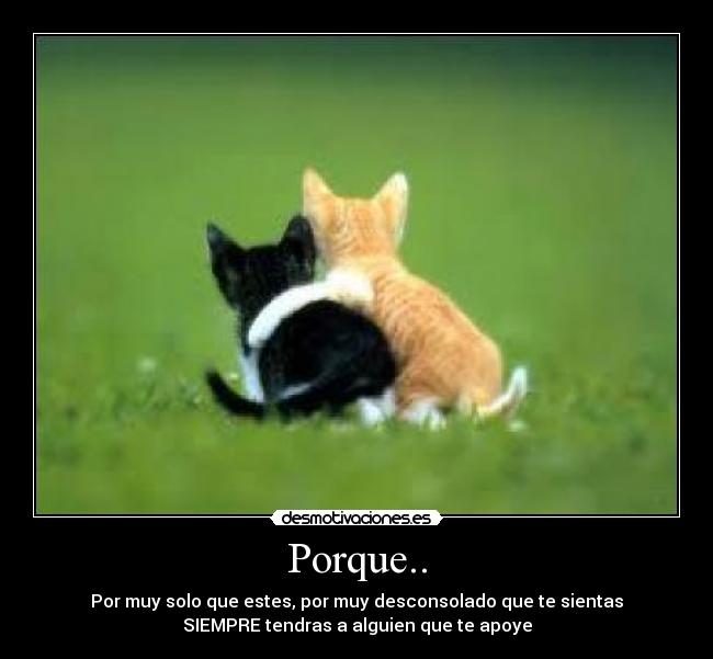 Porque.. -