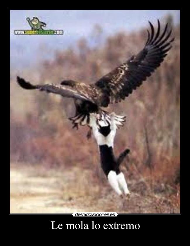 Le mola lo extremo -