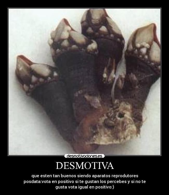 DESMOTIVA - 