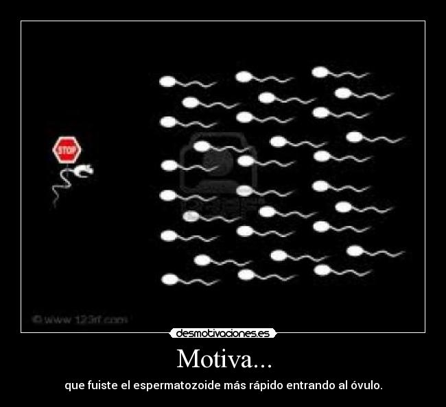 Motiva... - que fuiste el espermatozoide más rápido entrando al óvulo.
